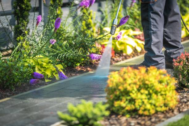 Best Parking Lot and Garage Cleaning  in Clearwater, FL
